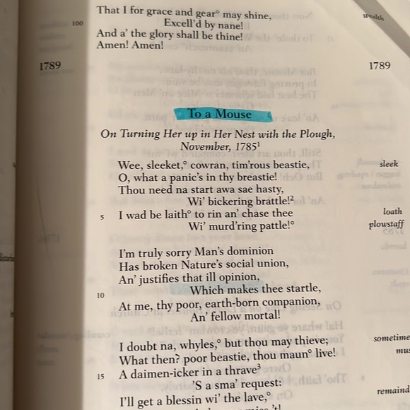 9th Ed Norton Anthology of Literature. Vol D The Romantic Period - Picture 2 of 7